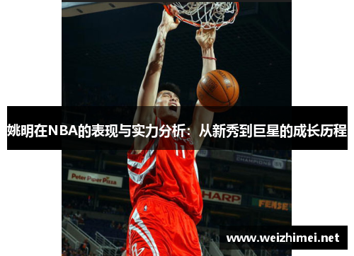 姚明在NBA的表现与实力分析：从新秀到巨星的成长历程