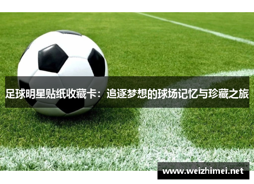 足球明星贴纸收藏卡：追逐梦想的球场记忆与珍藏之旅
