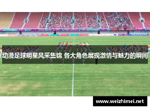 动漫足球明星风采集锦 各大角色展现激情与魅力的瞬间