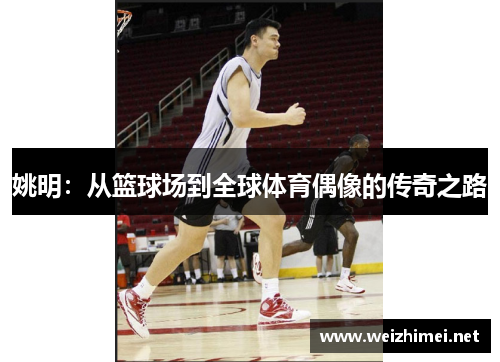 姚明：从篮球场到全球体育偶像的传奇之路