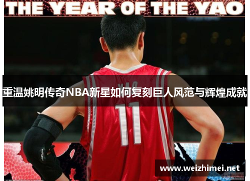重温姚明传奇NBA新星如何复刻巨人风范与辉煌成就