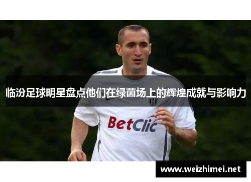 临汾足球明星盘点他们在绿茵场上的辉煌成就与影响力